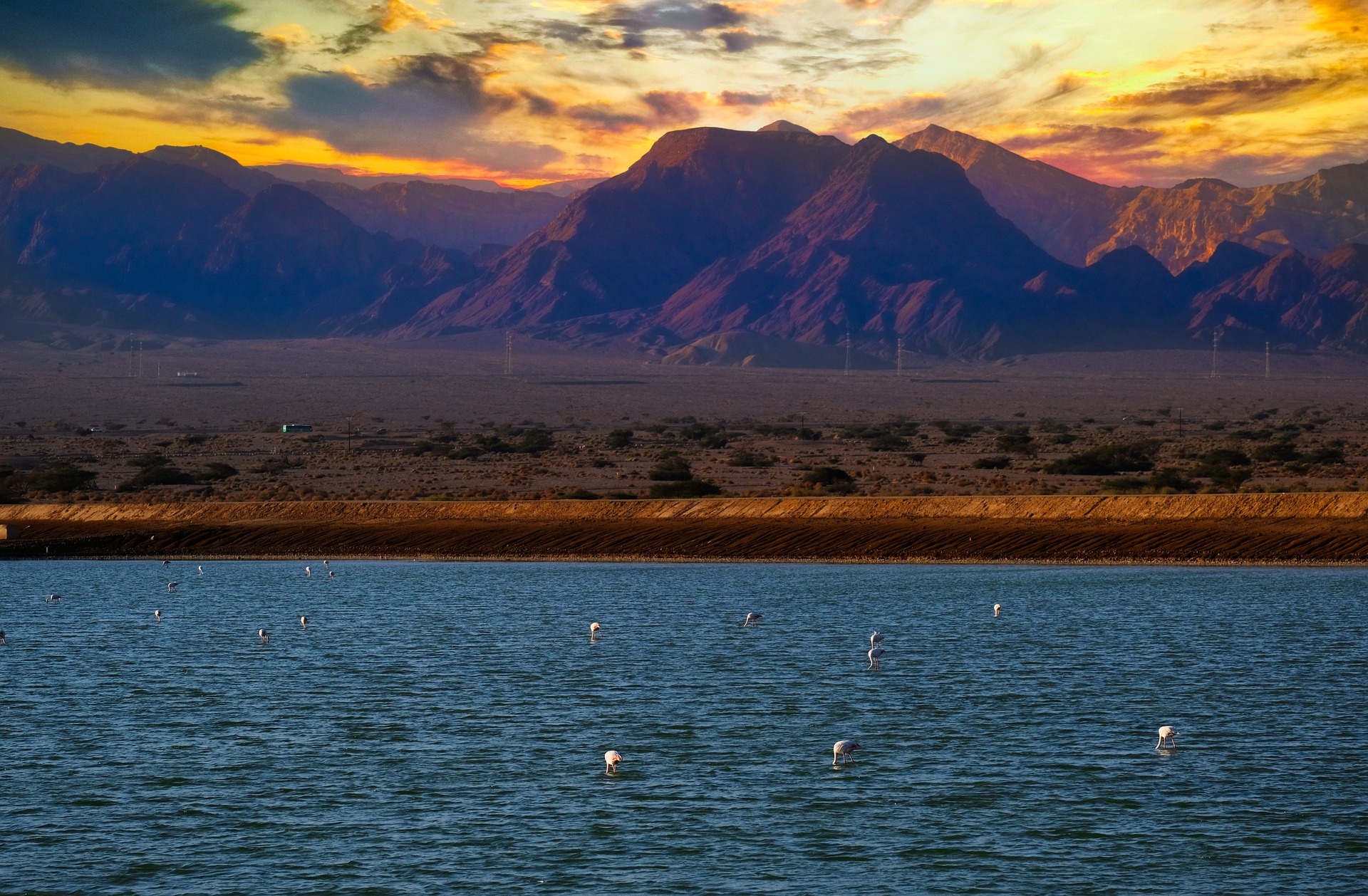 טיול באילת עם הילדים: מסלולים ואטרקציות לטיול מושלם