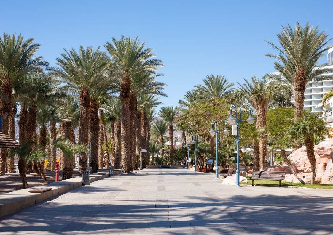 יוצאים לנופש: המדריך המלא לתכנון חופשה משפחתית באילת